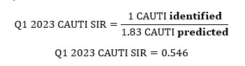 SIR equation with predicted value greater than 1